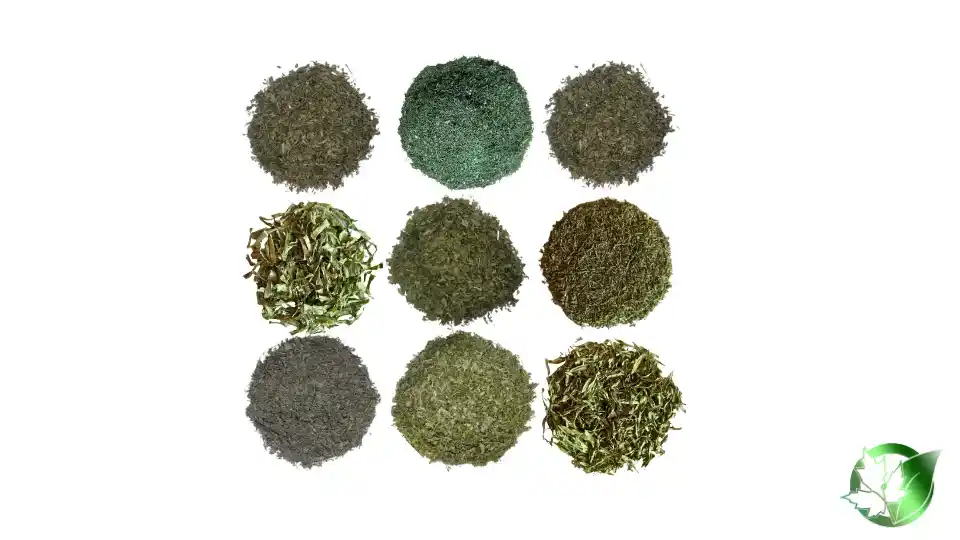 Dried Herbs1.webp